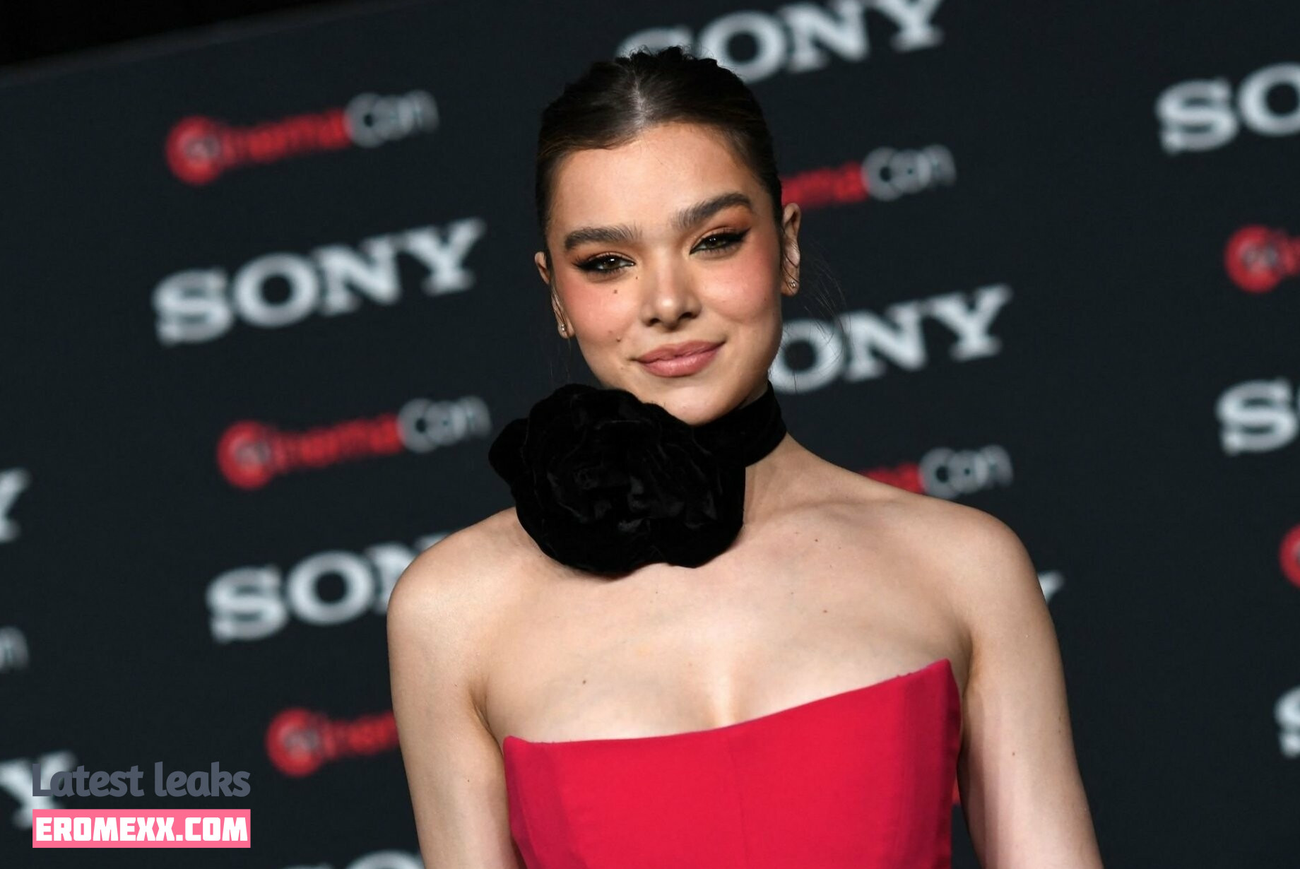 Latest Leaks Hailee Steinfeld Nude #891 - Fapello