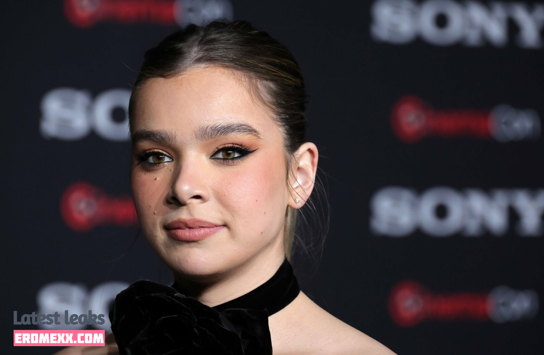 Latest Leaks Hailee Steinfeld Nude #896 - Fapello
