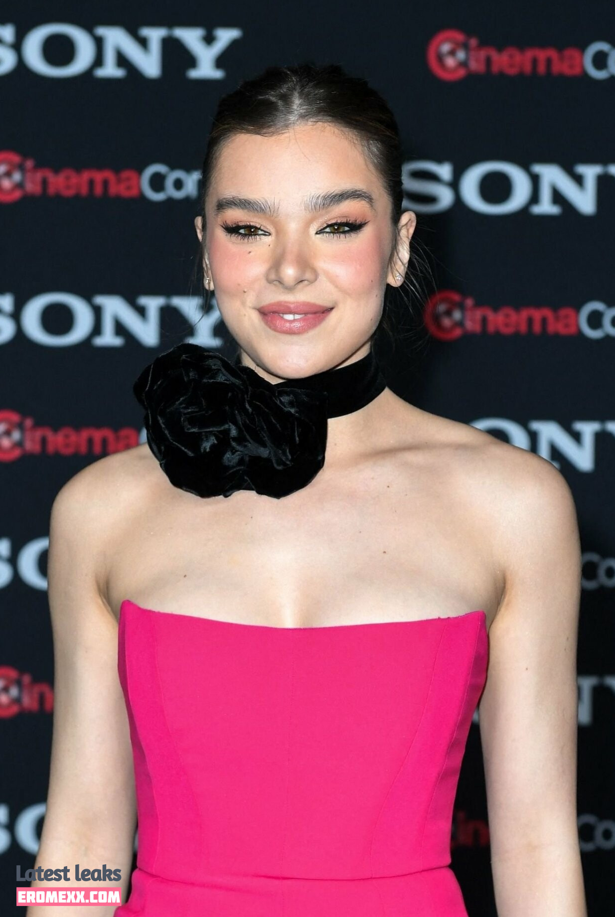 Latest Leaks Hailee Steinfeld Nude #899 - Fapello
