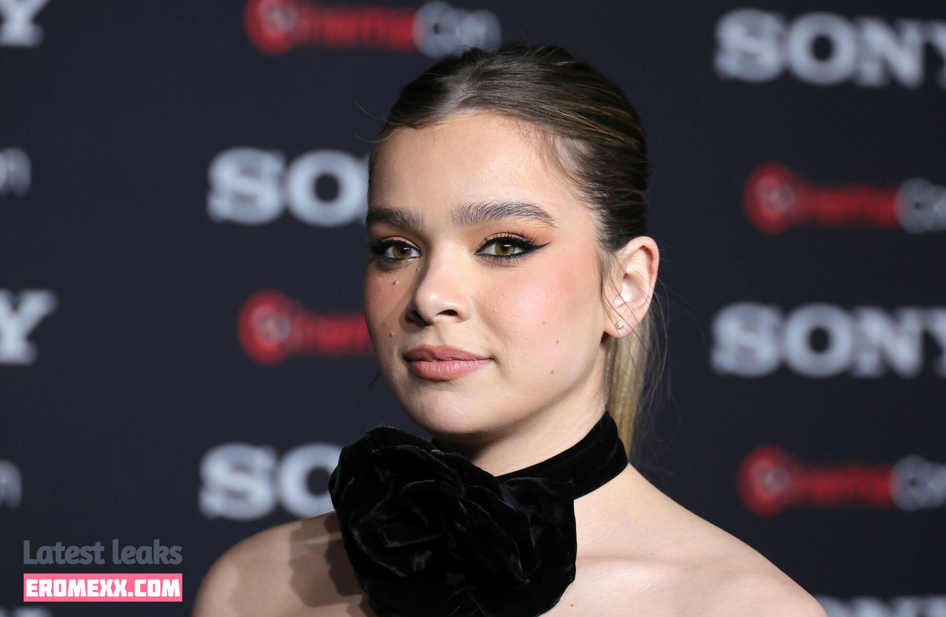 Latest Leaks Hailee Steinfeld Nude #930 - Fapello