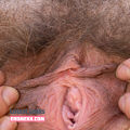 Latest Leaks Hairy Women Nude #2608 - Fapello
