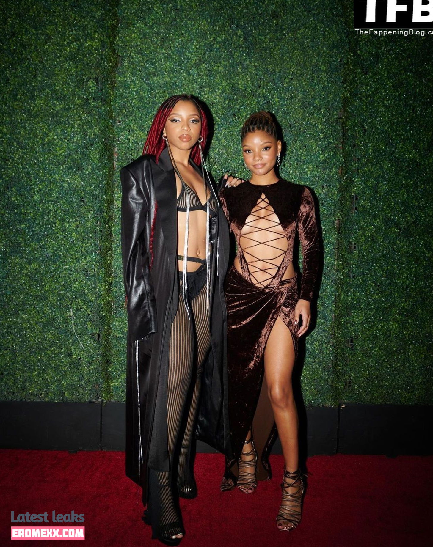 Latest Leaks Halle Bailey Nude #11 - Fapello