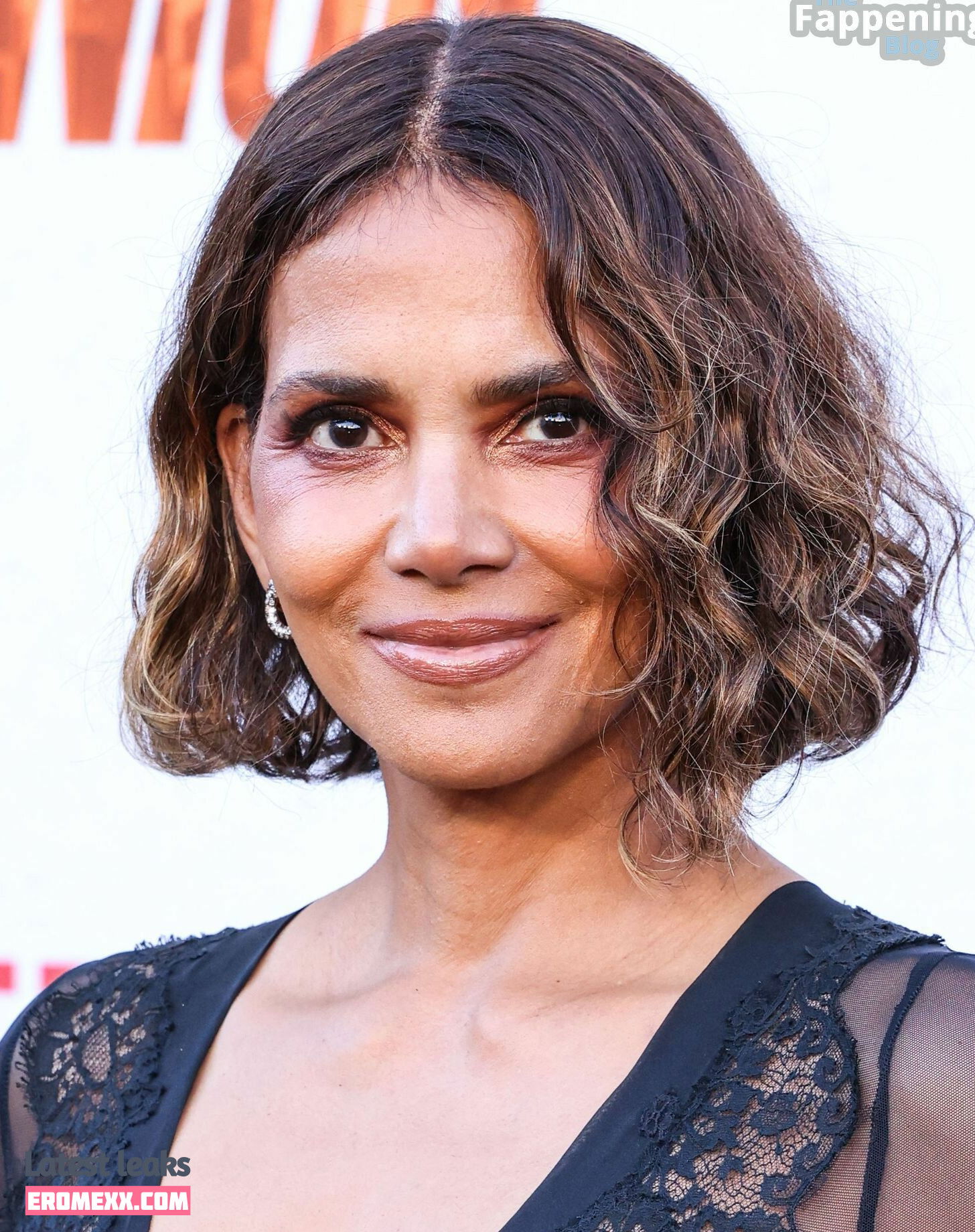 Latest Leaks Halle Berry Nude #1539 - Fapello