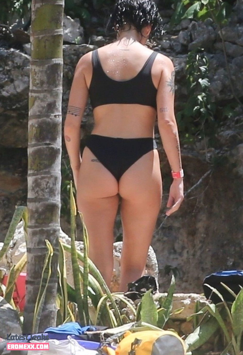 Latest Leaks Halsey Nude #1473 - Fapello
