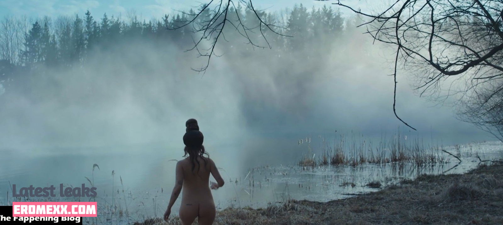 Latest Leaks Halsey Nude #1674 - Fapello