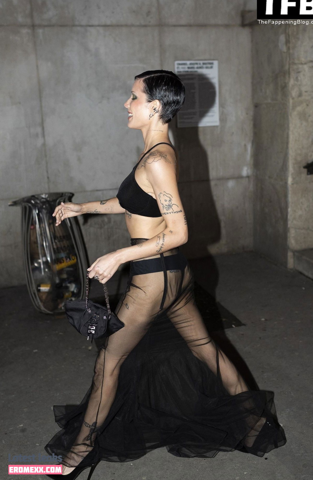Latest Leaks Halsey Nude #1891 - Fapello