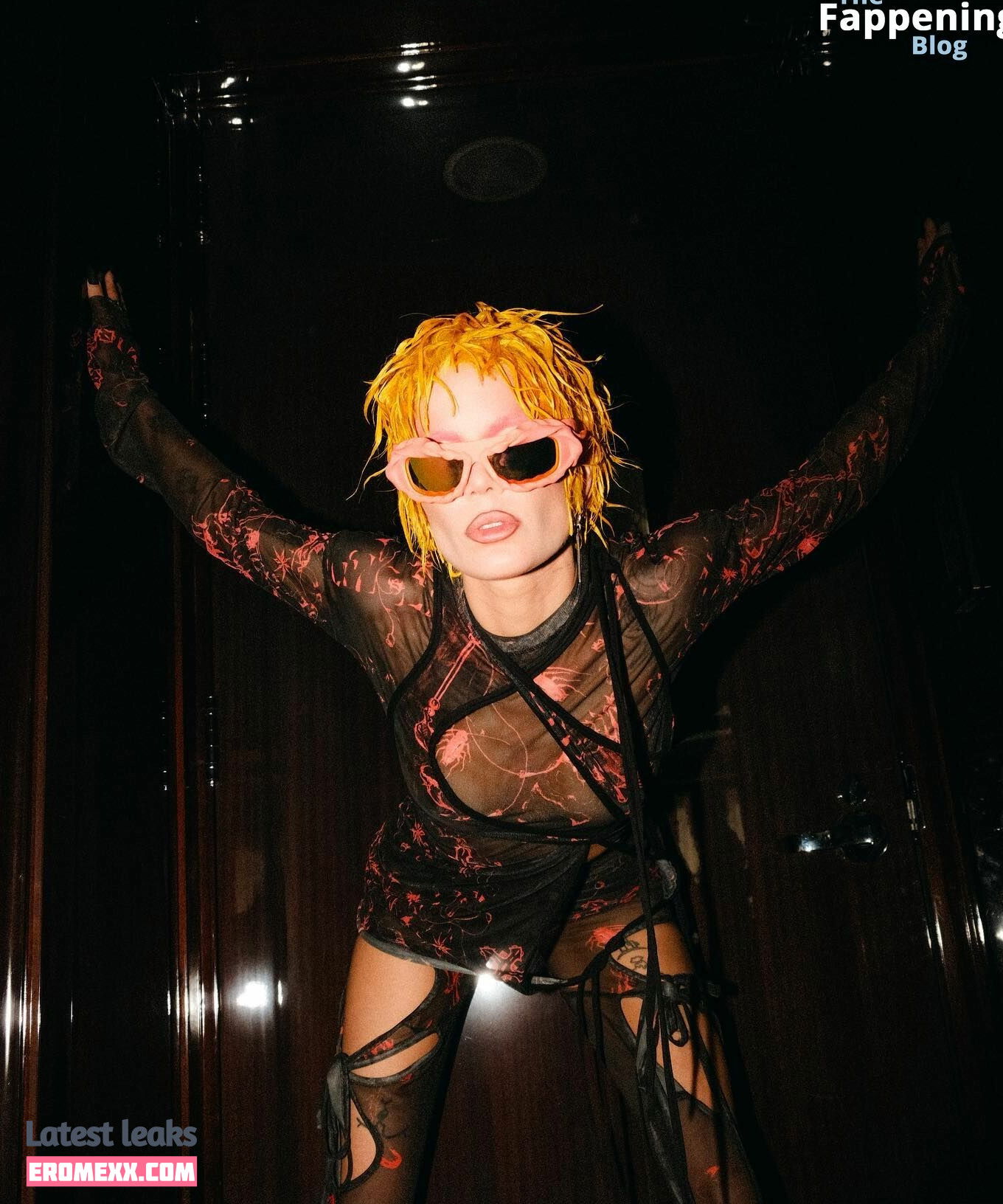 Latest Leaks Halsey Nude #2003 - Fapello