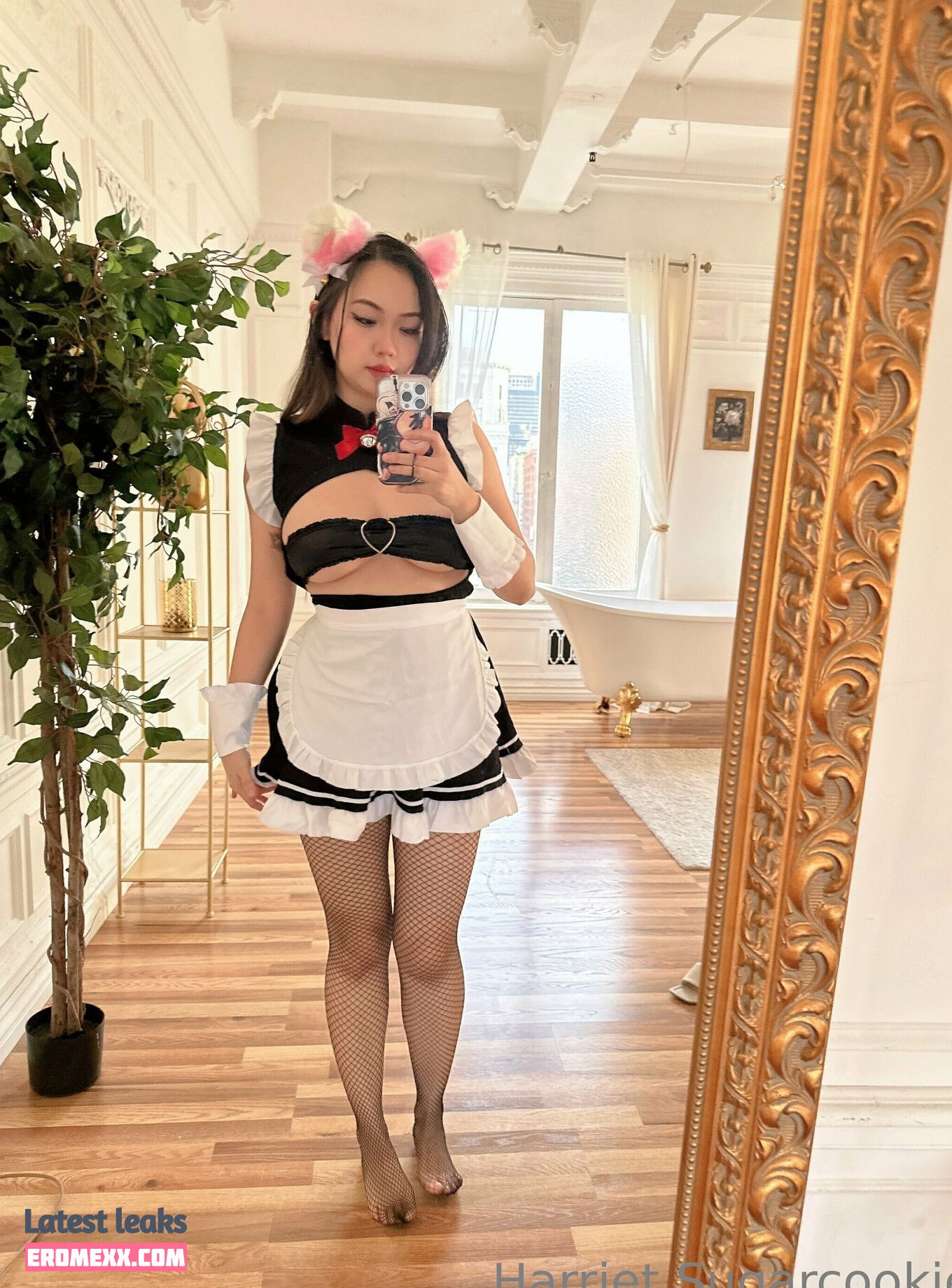 Latest Leaks Harriet Sugarcookie Nude #342 - Erome