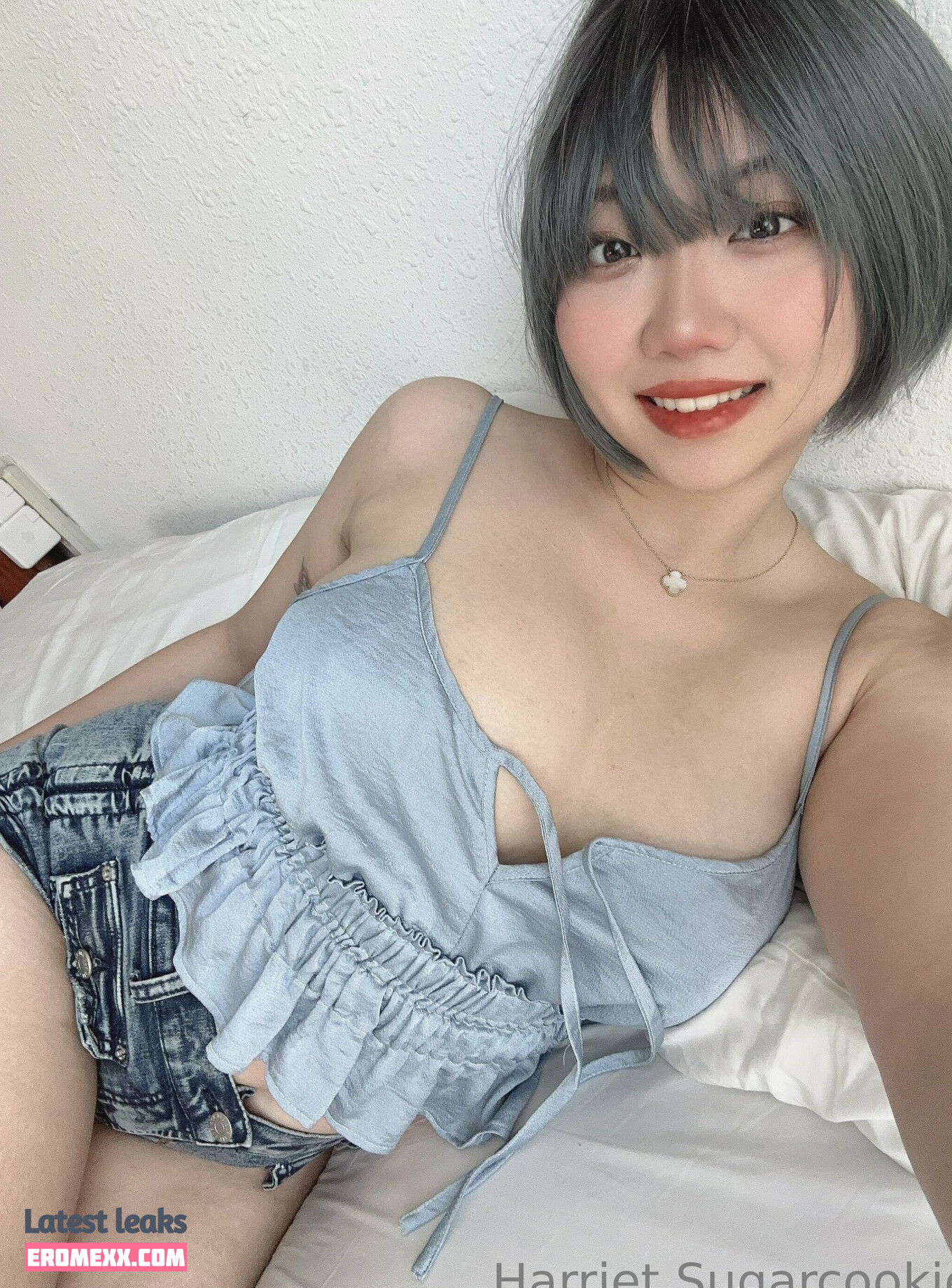 Latest Leaks Harriet Sugarcookie Nude #414 - Erome