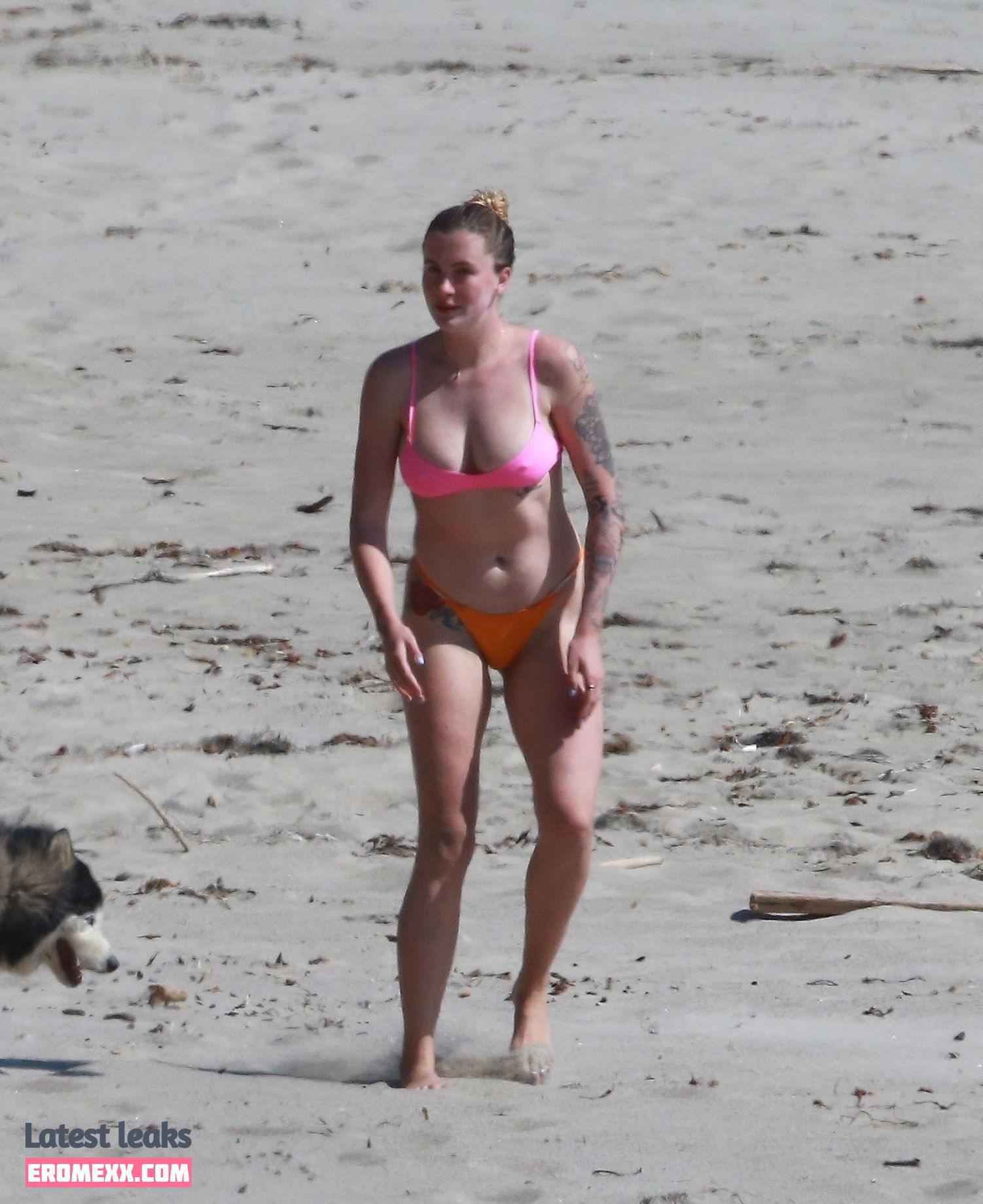 Latest Leaks Ireland Baldwin Nude #3177 - Erome