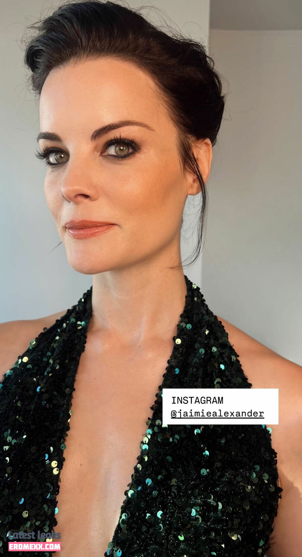 Jaimie Alexander nude photos (Exclusive photos)