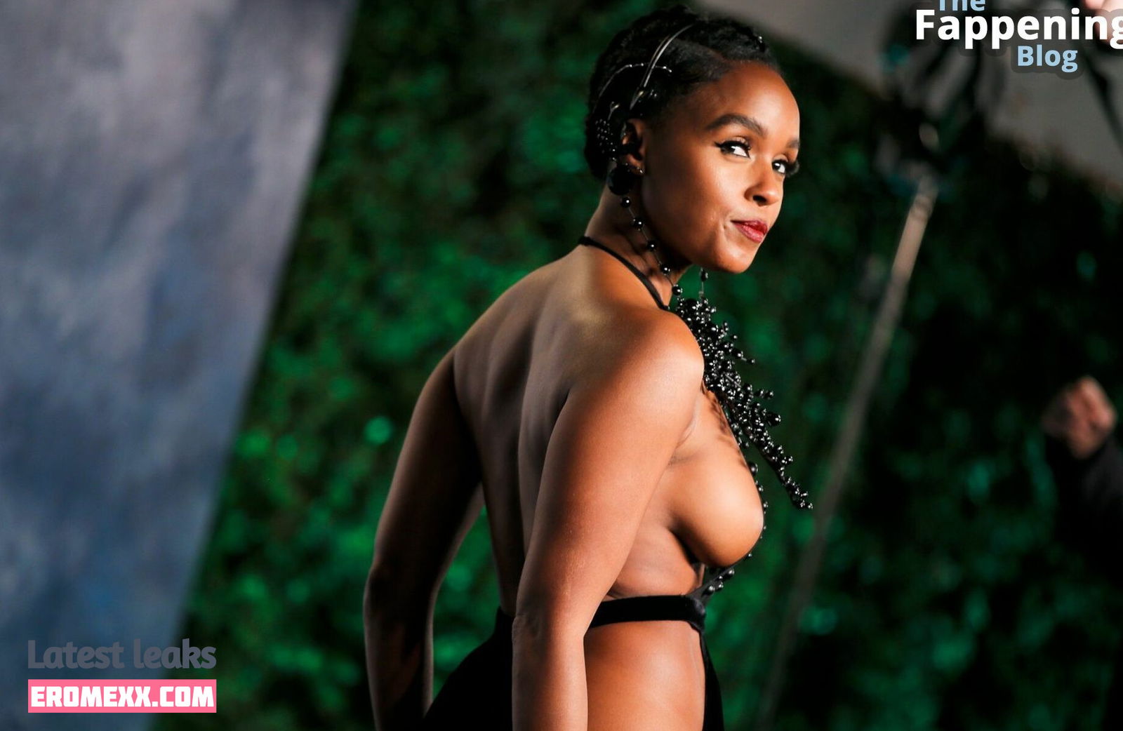 Latest Leaks Janelle Monáe Nude #323 - Erome