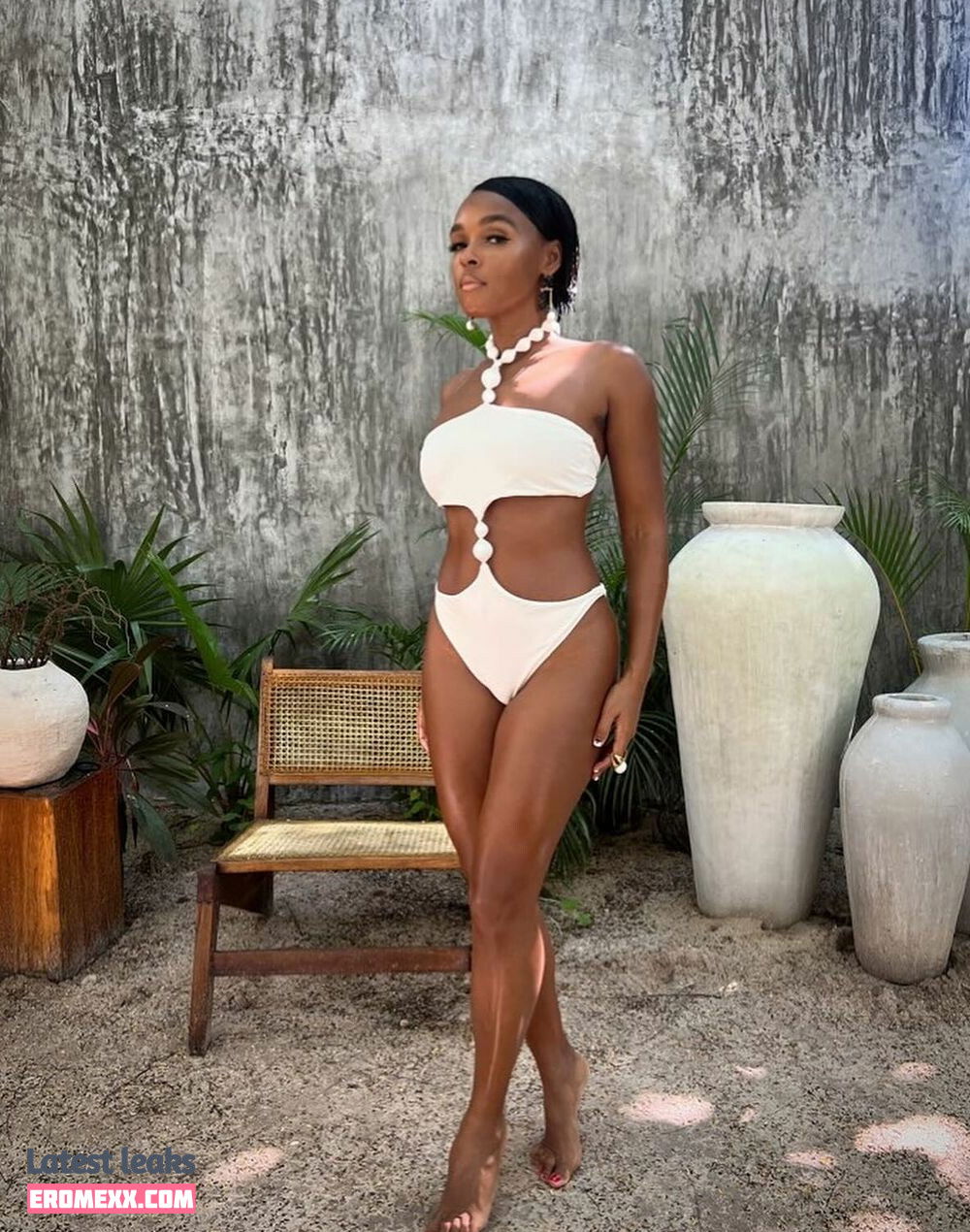 Latest Leaks Janelle Monáe Nude #616 - Erome