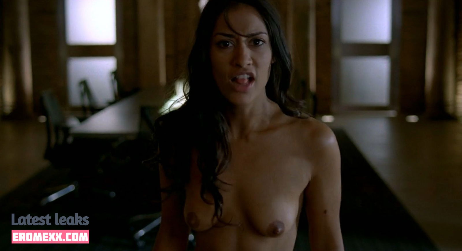 Latest Leaks Janina Gavankar Nude #70 - Erome