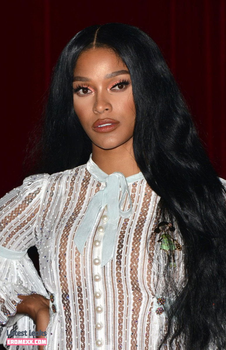 Latest Leaks Joseline Hernandez Nude #17 - Fapello