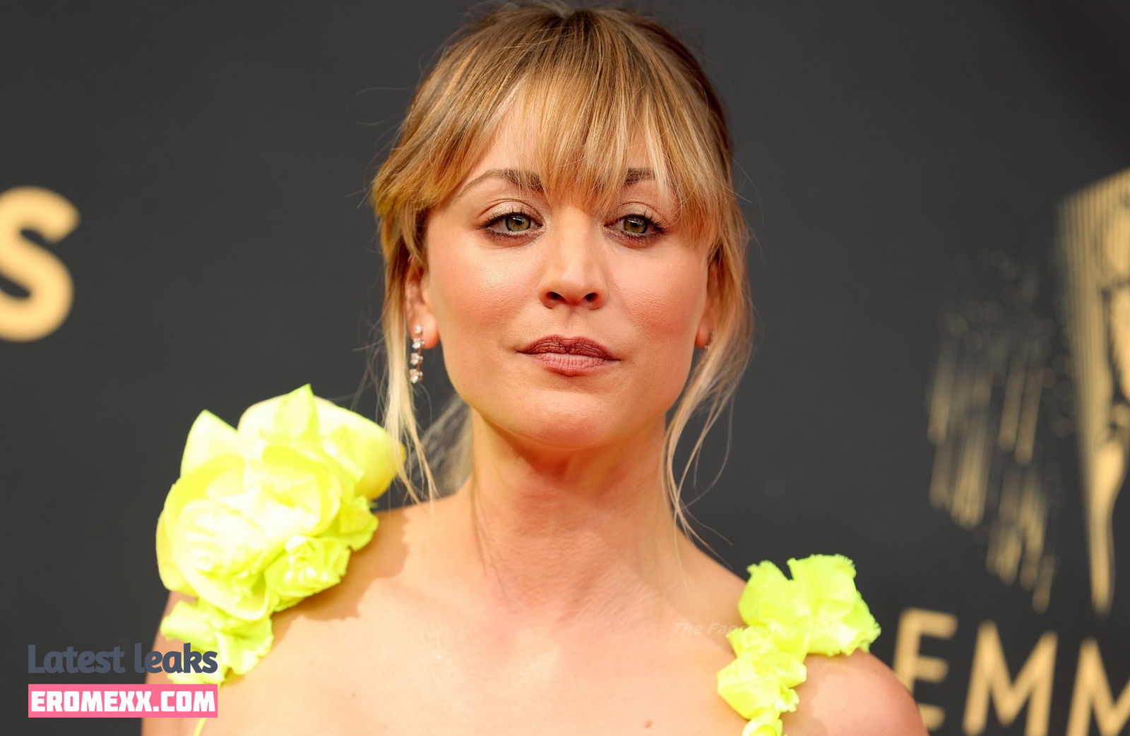 Latest Leaks Kaley Cuoco Nude #663 - Fapello