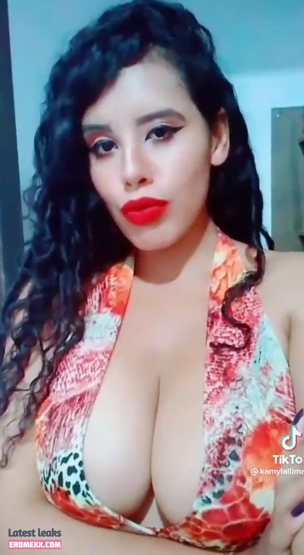 Latest Leaks Kamylla Lima Nude #23 - Fapello