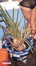 Latest Leaks Kate Moss Nude #983 - Fapello
