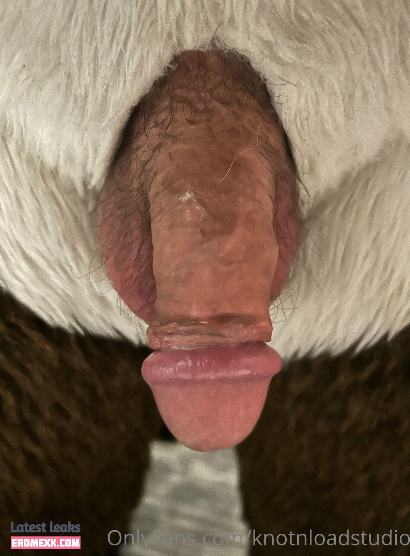 Latest Leaks knotnloadstudios Nude #18 - Fapello