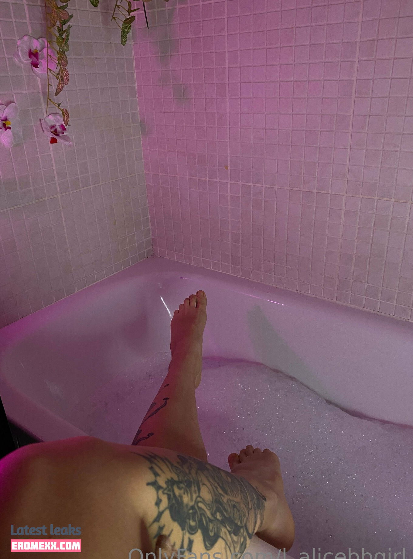 Latest Leaks l_alicebbgirl_l Nude #30 - Erome