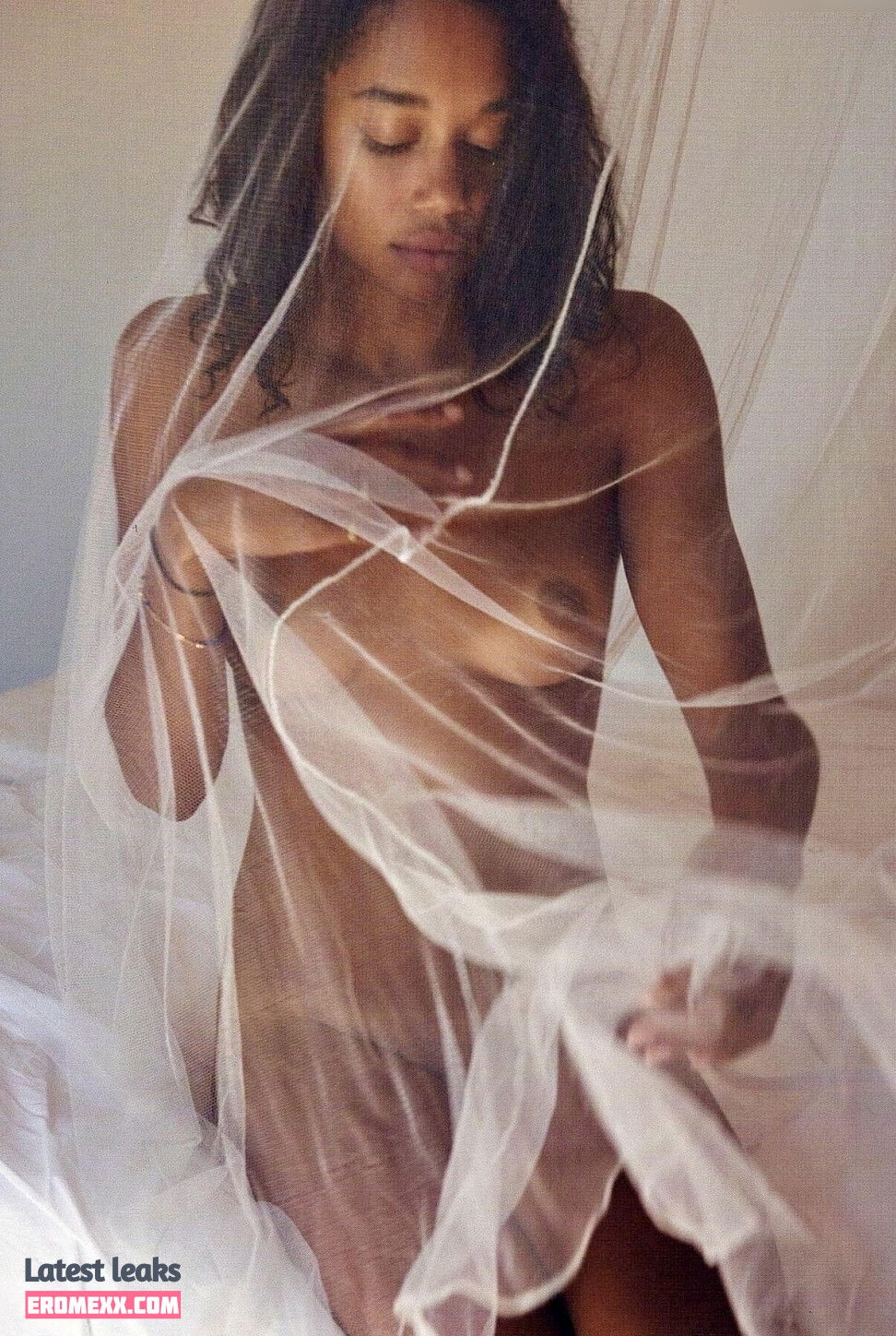 Latest Leaks Laura Harrier Nude #553 - Erome