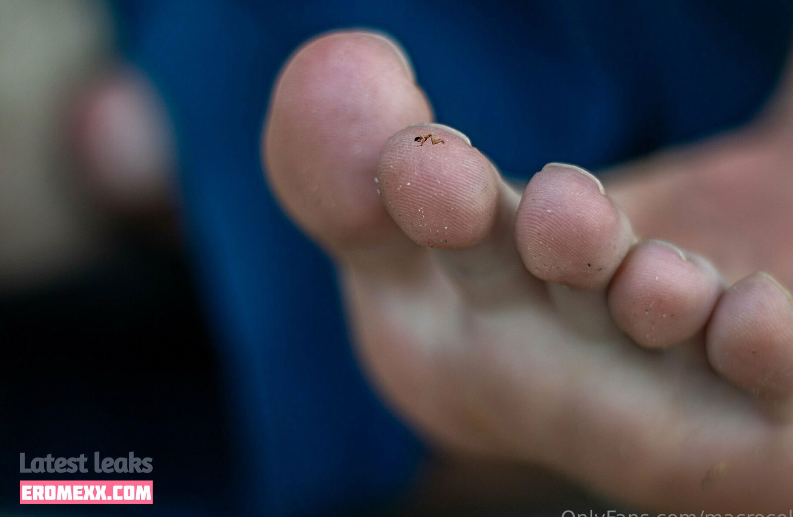 Latest Leaks macrocole Nude #91 - Fapello