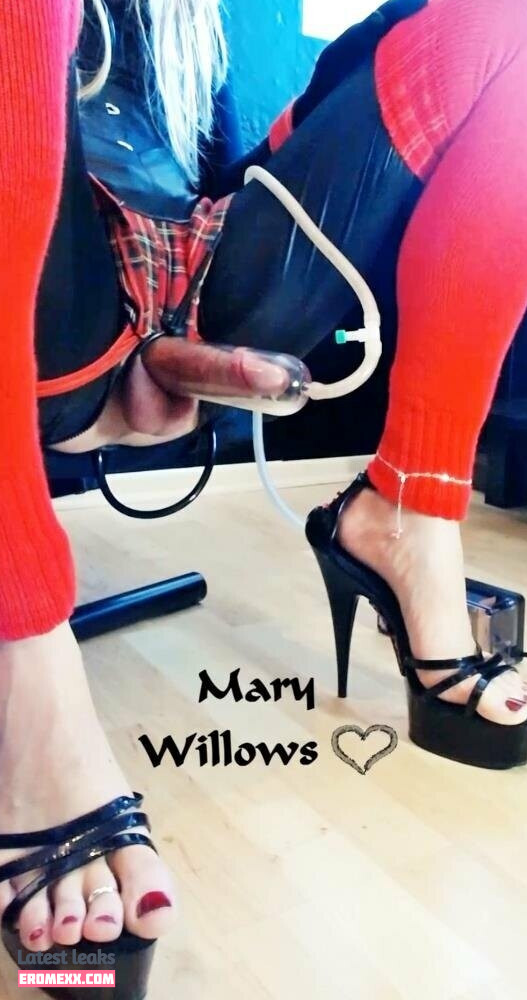 Latest Leaks marywillows Nude #19 - Fapello