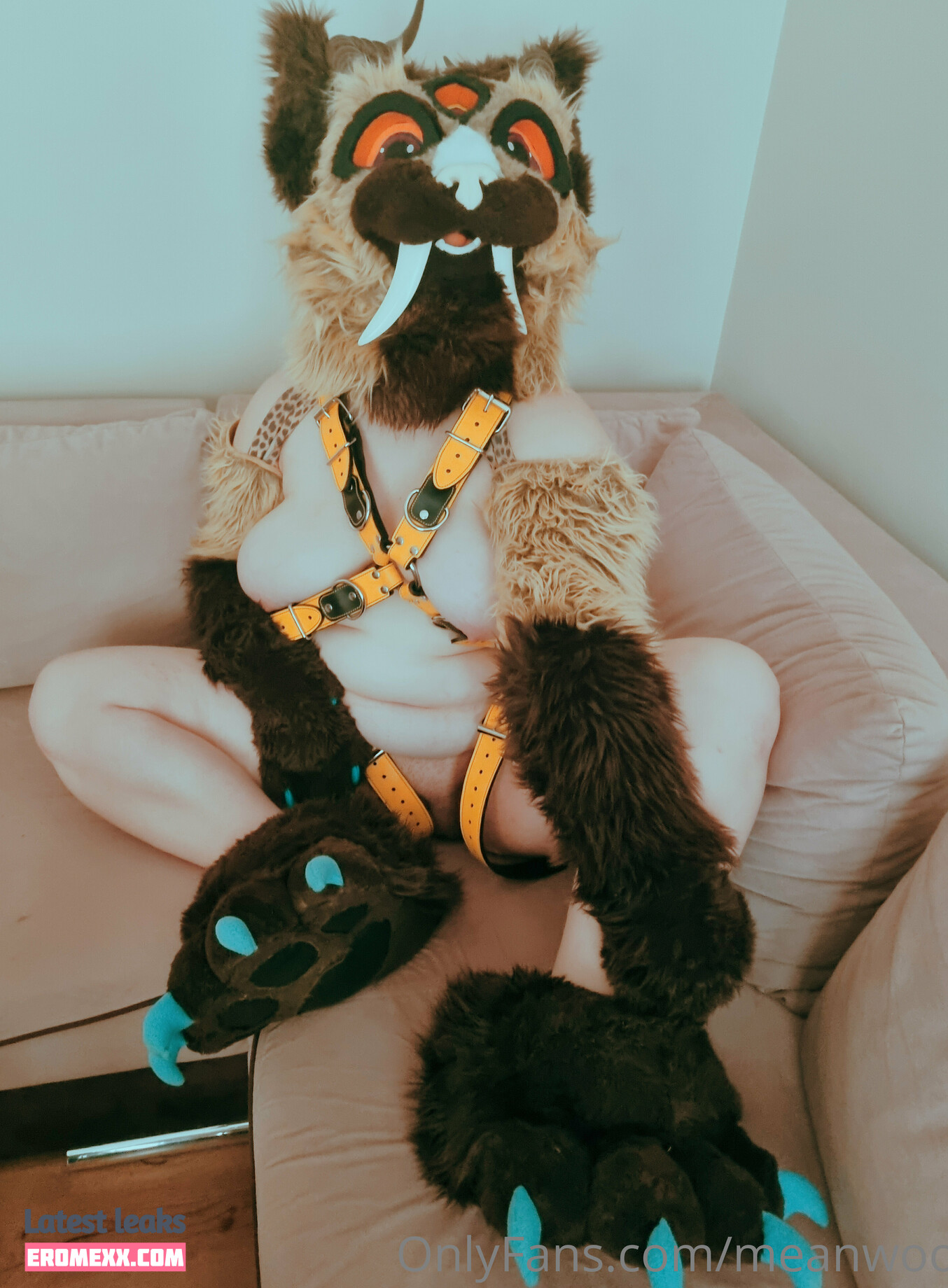 Latest Leaks meanwoof Nude #11 - Fapello