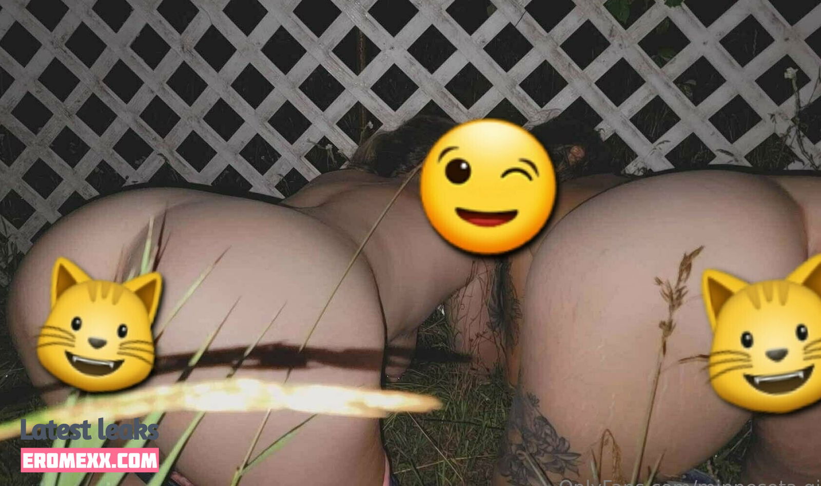 minnesota.girl nude leaks onlyfans - Erome