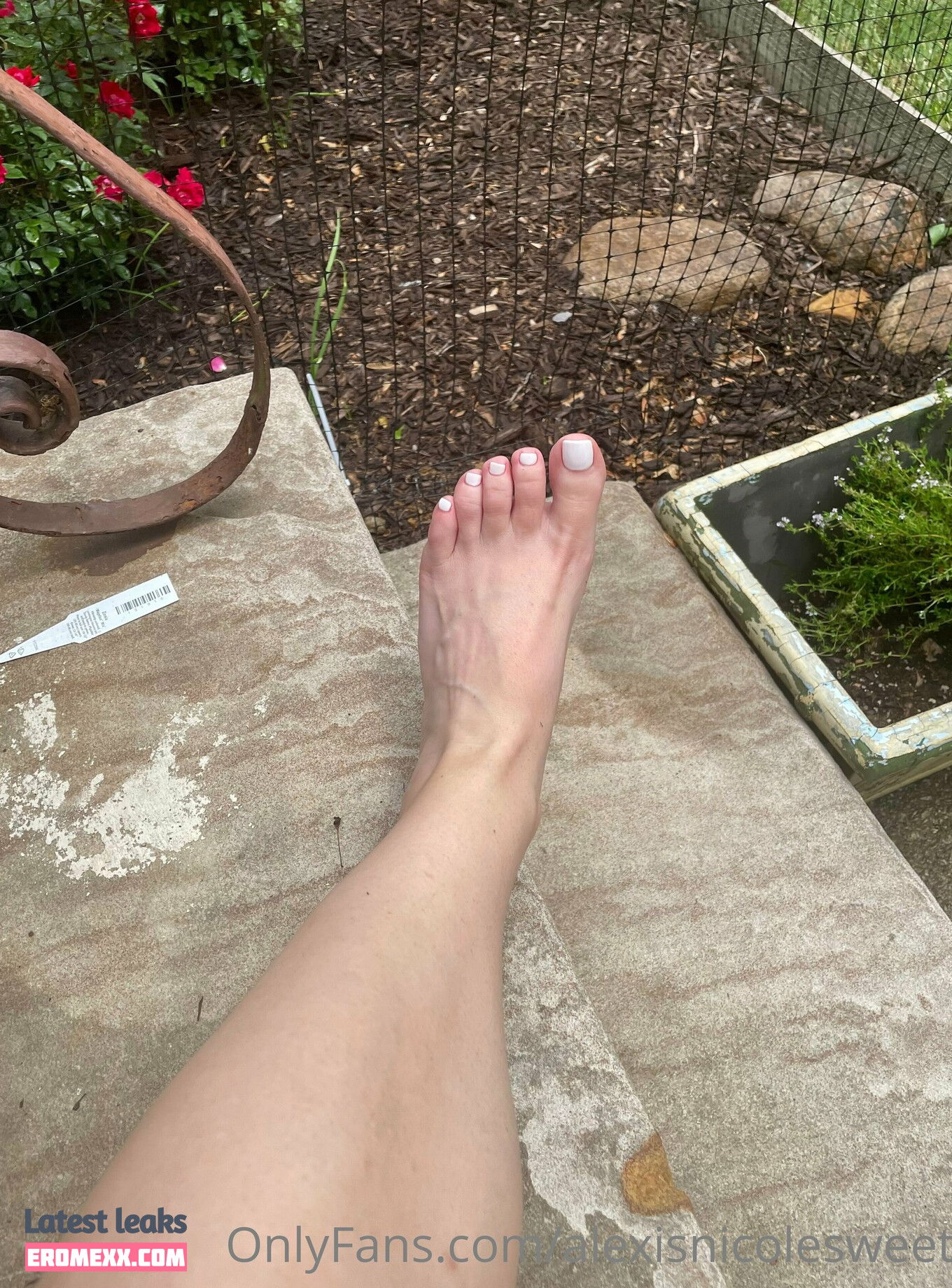 Latest Leaks missalexisfree Nude #2 - Erome