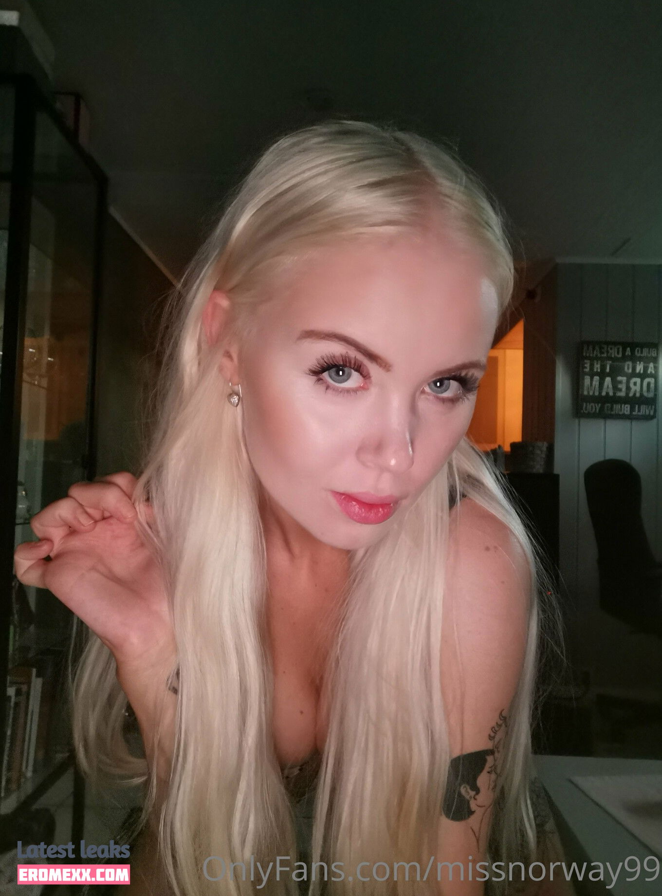 missnorway999 nude Leaked onlyfans - Erome