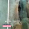 Latest Leaks Naianna Paulla CF Nude #9 - Fapello