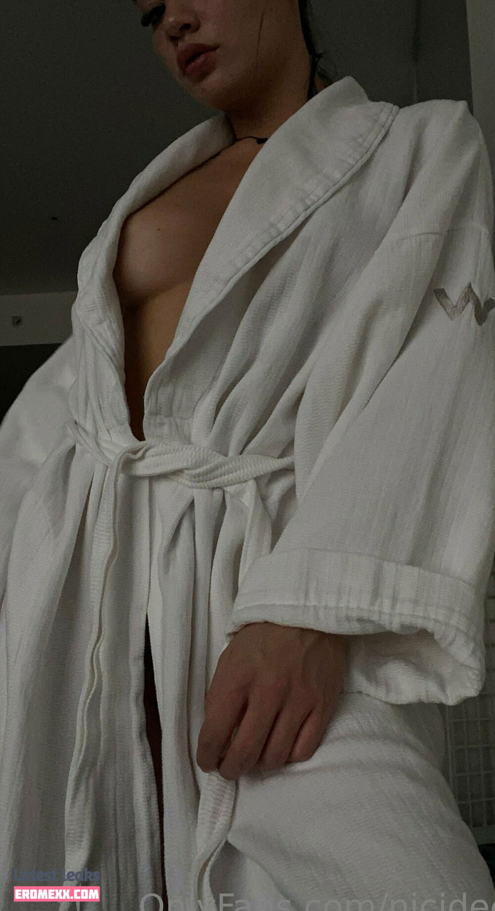 Latest Leaks nicidee Nude #7 - Fapello