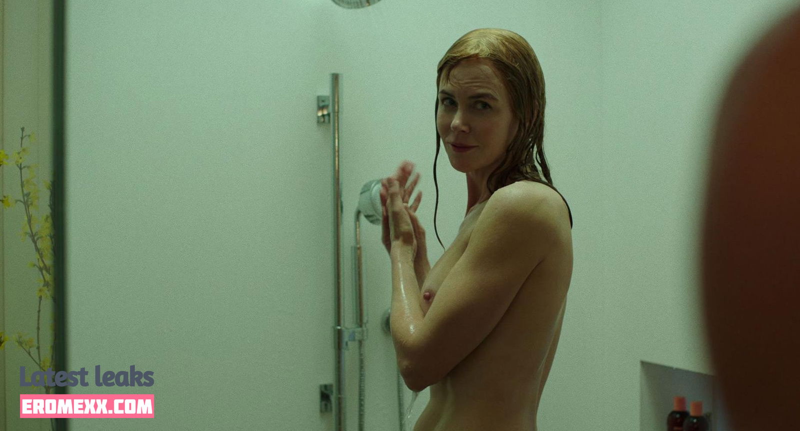 Latest Leaks Nicole Kidman Nude #246 - Erome