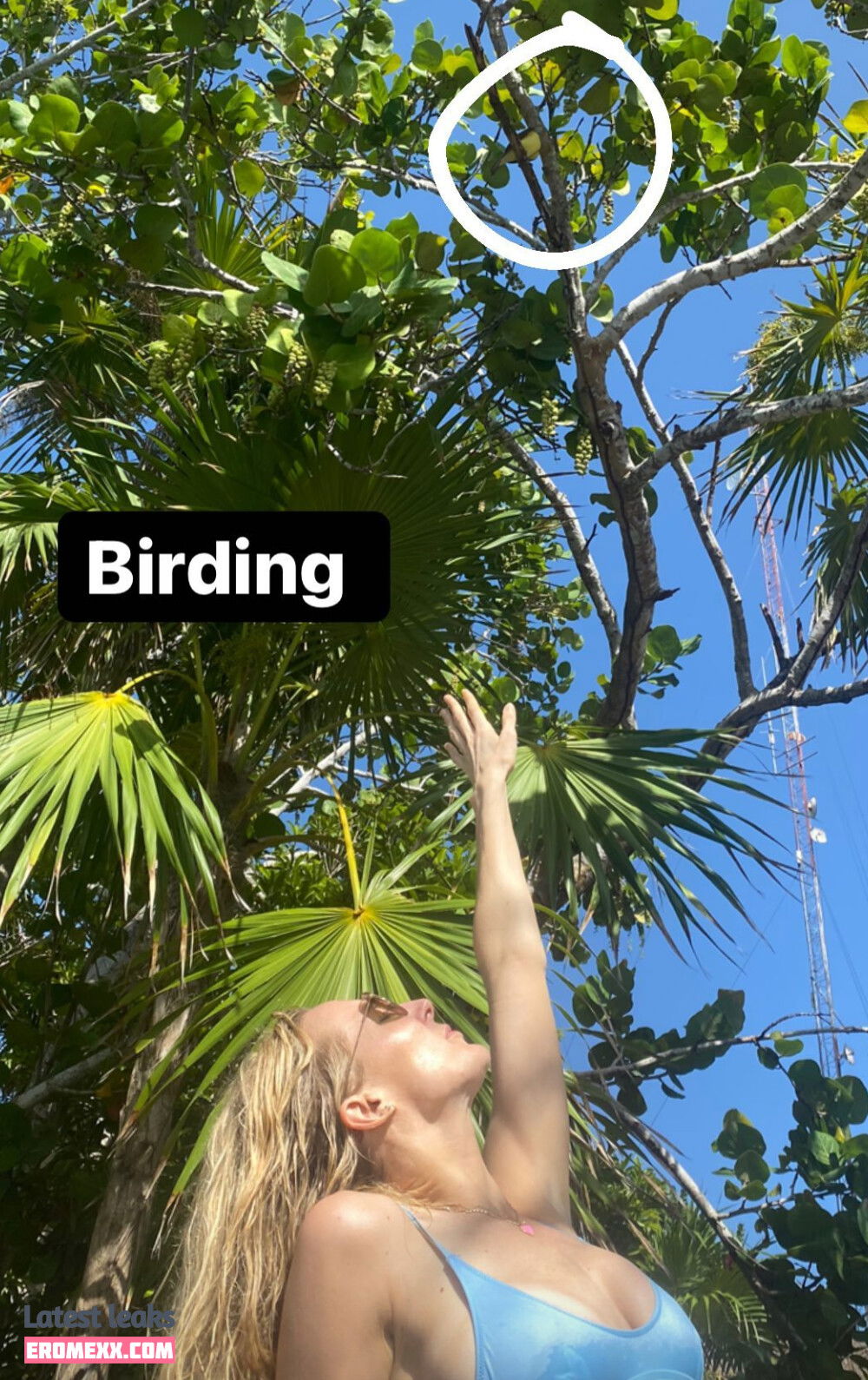 Latest Leaks Nikki Glaser Nude #74 - Fapello
