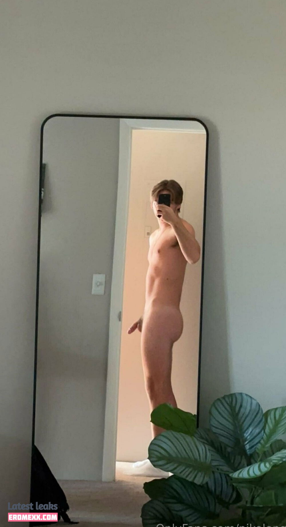 Latest Leaks nikolongg Nude #24 - Erome