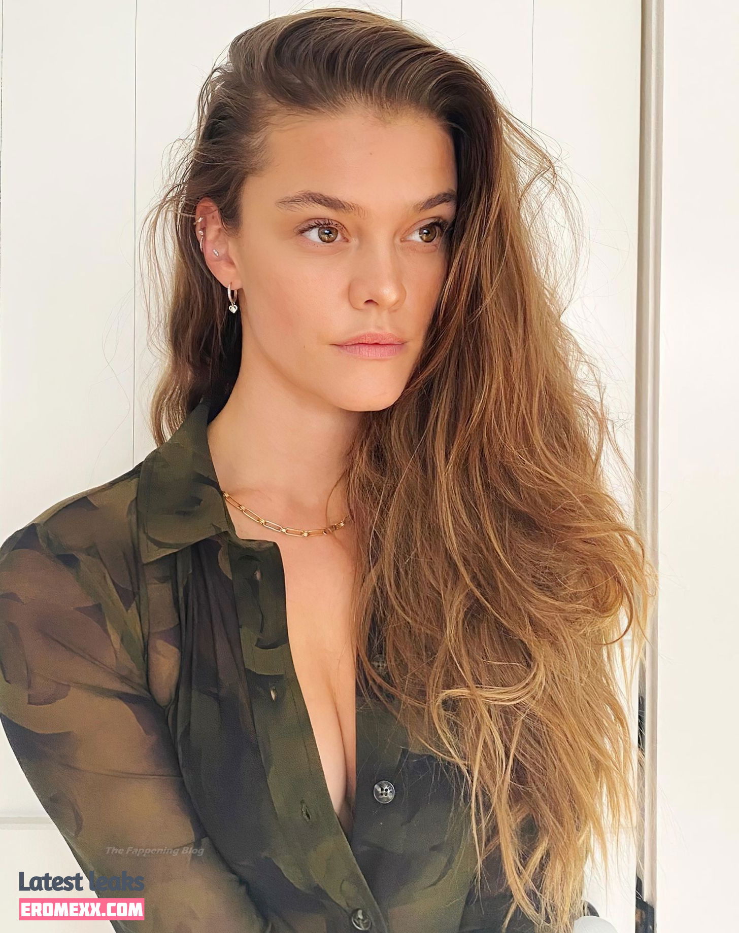 Latest Leaks Nina Agdal Nude #1488 - Erome