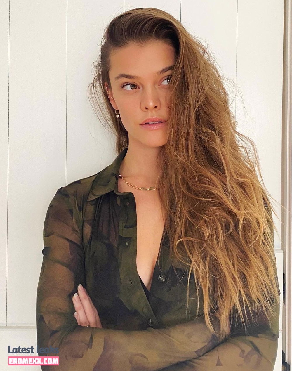 Latest Leaks Nina Agdal Nude #1492 - Erome