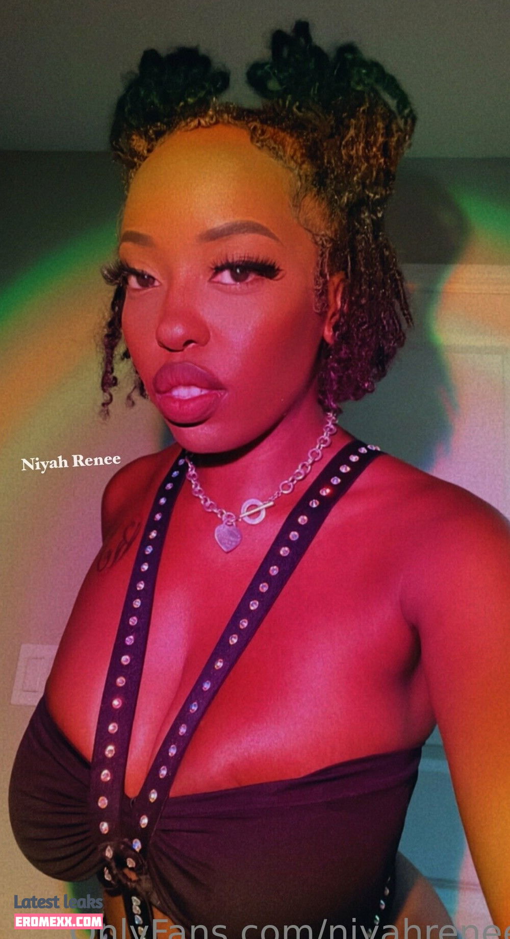 Latest Leaks niyahrenee Nude #26 - Fapello