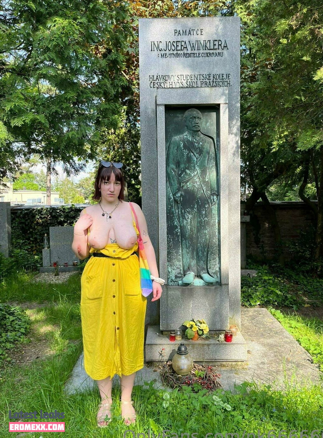Latest Leaks nk666666 Nude #4 - Erome
