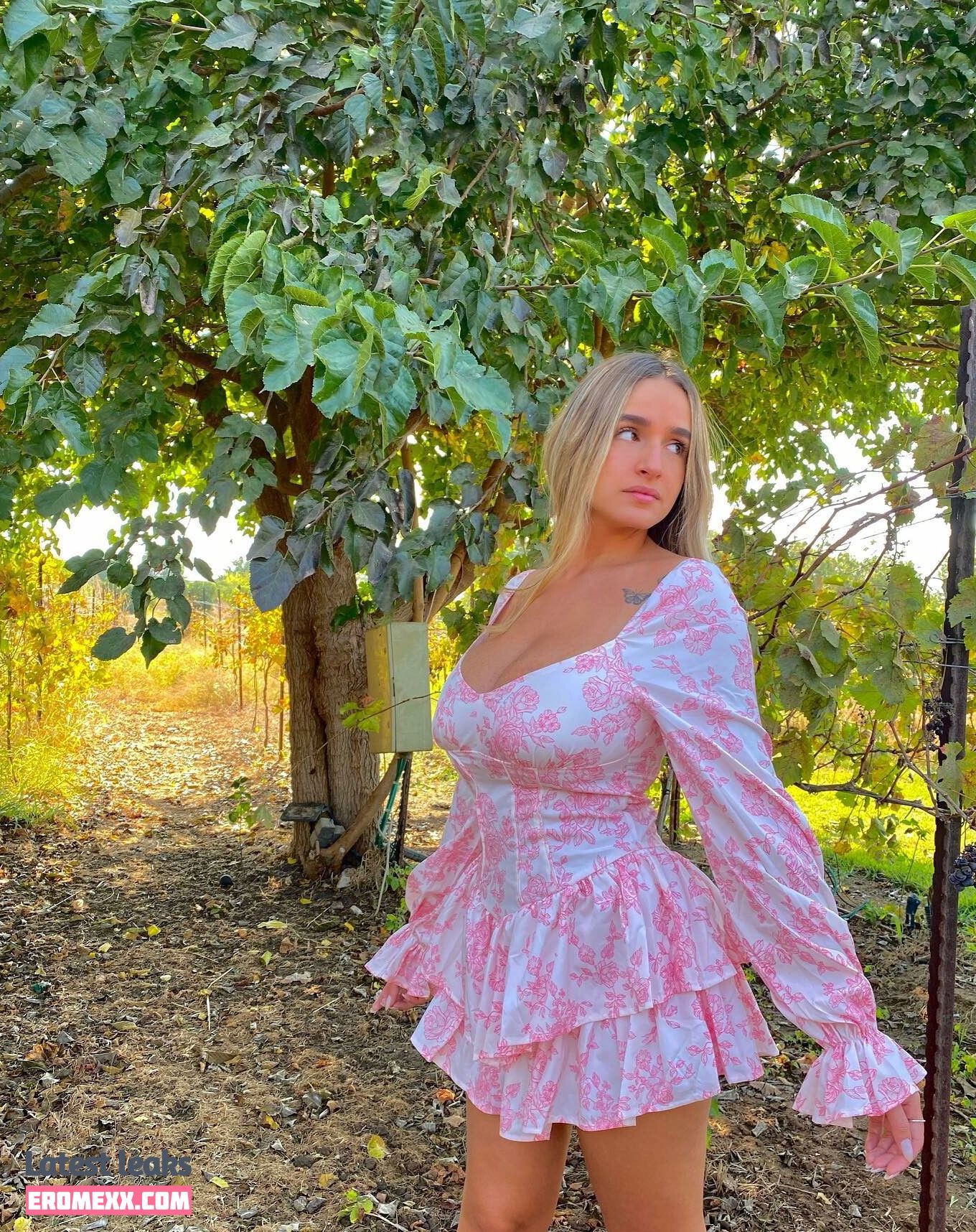 Latest Leaks noaperetss Nude #99 - Fapello