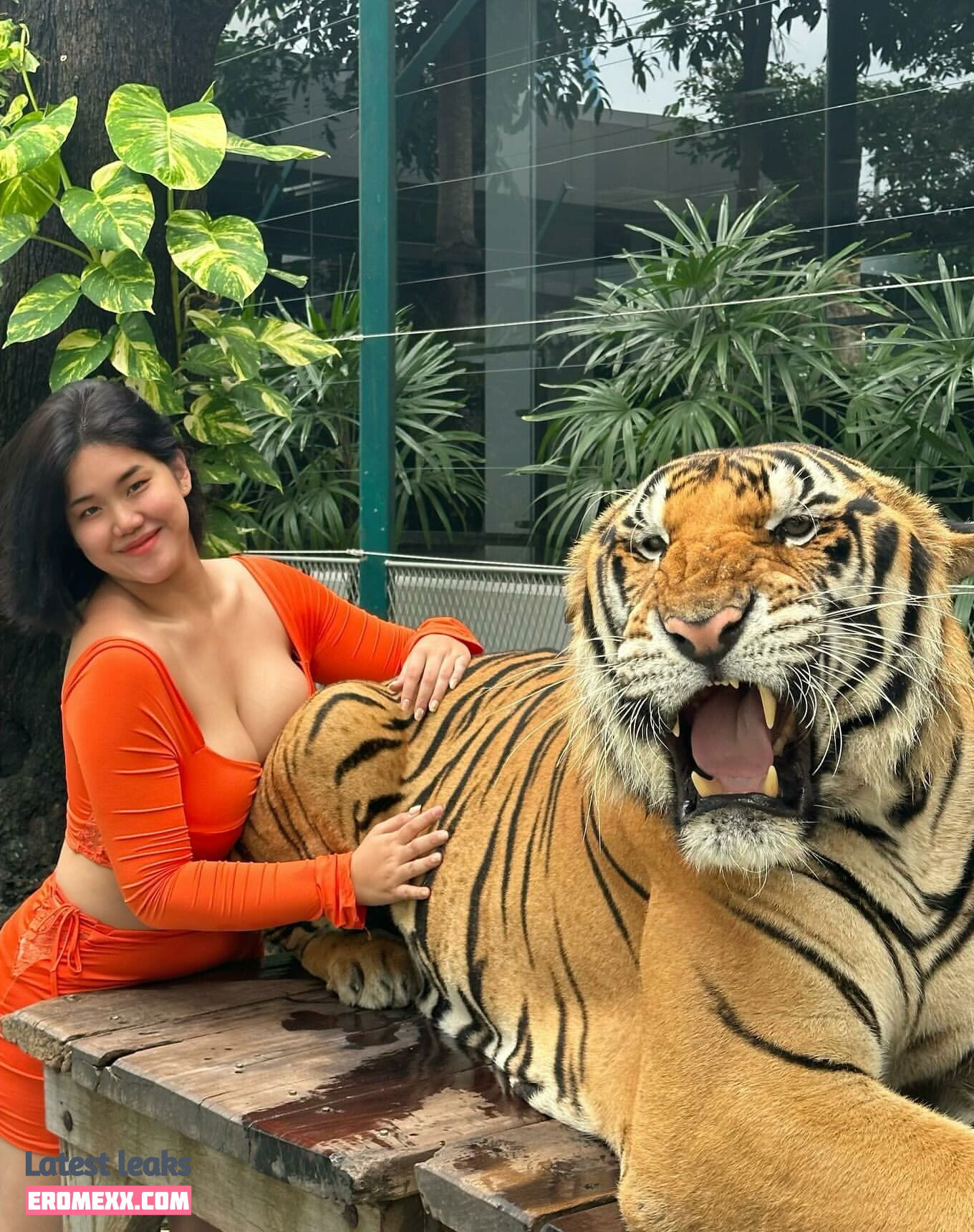 Latest Leaks Notekamol Panapisal Nude #12 - Erome