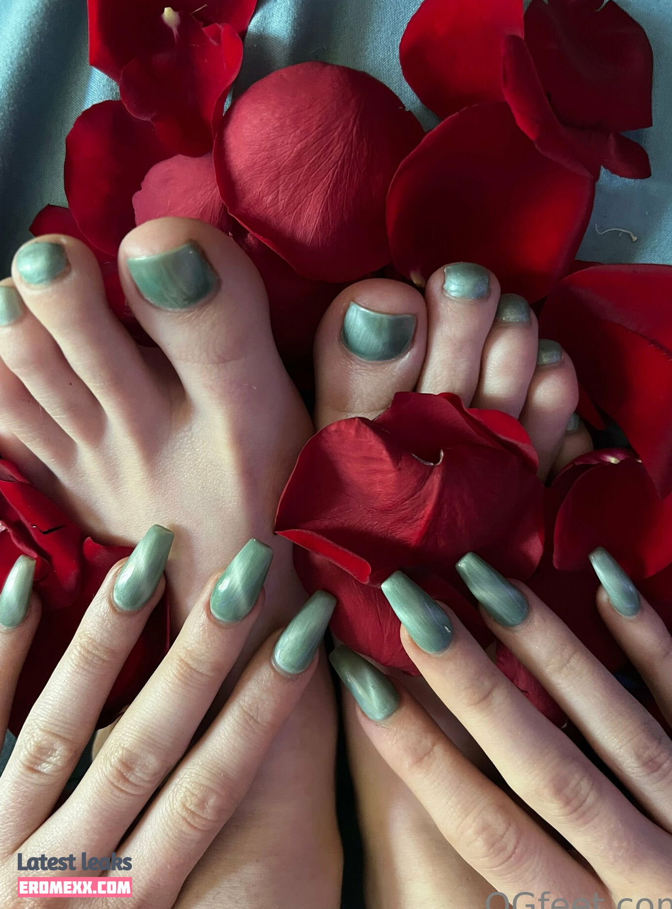 Latest Leaks ogfeet Nude #137 - Fapello
