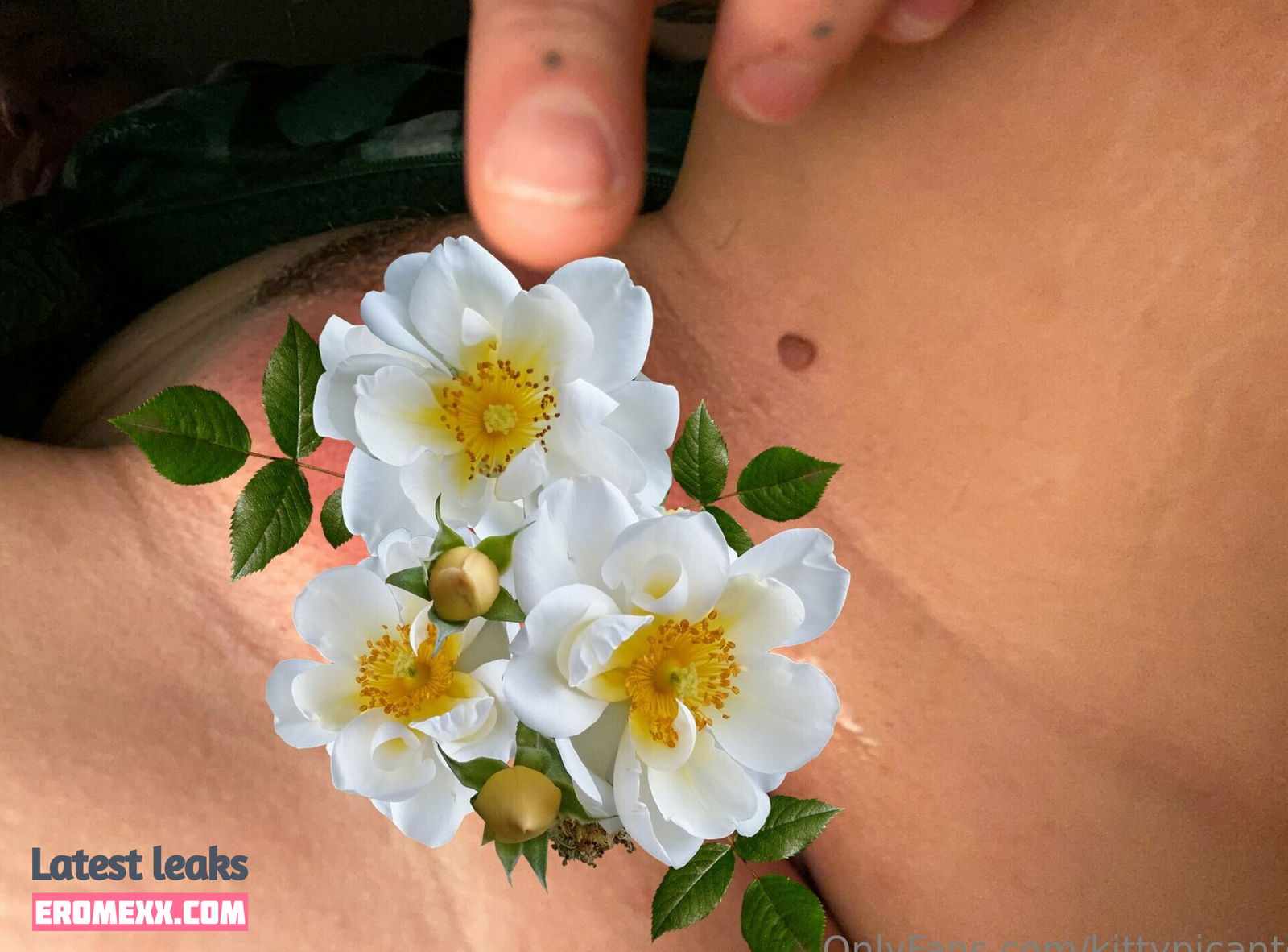 Latest Leaks oliviathenorth Nude #4 - Fapello