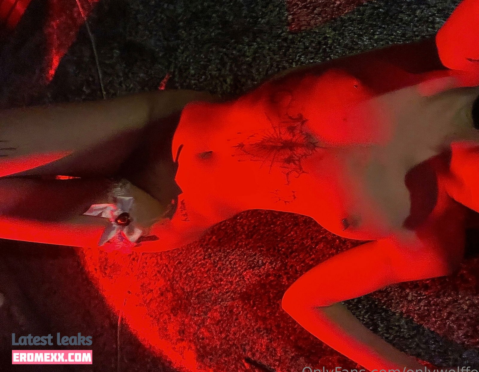 Latest Leaks onlywolffen Nude #4 - Fapello