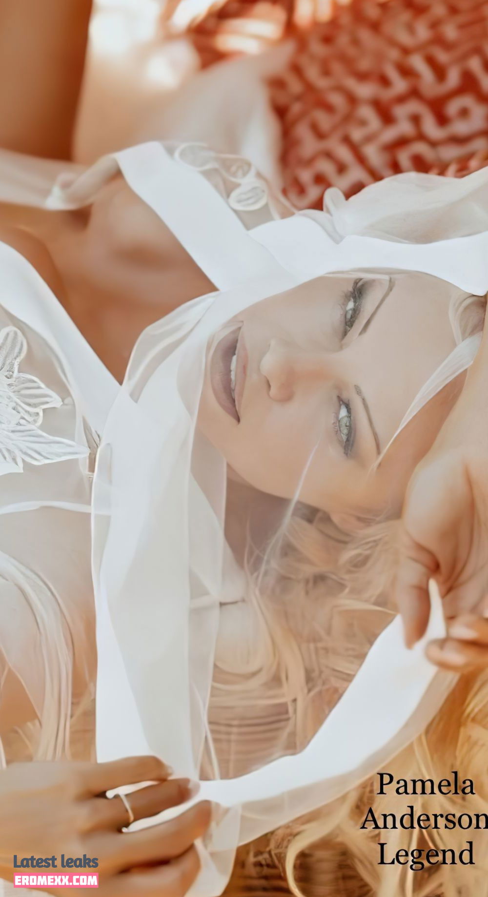 Latest Leaks Pamela Anderson Nude #1856 - Fapello