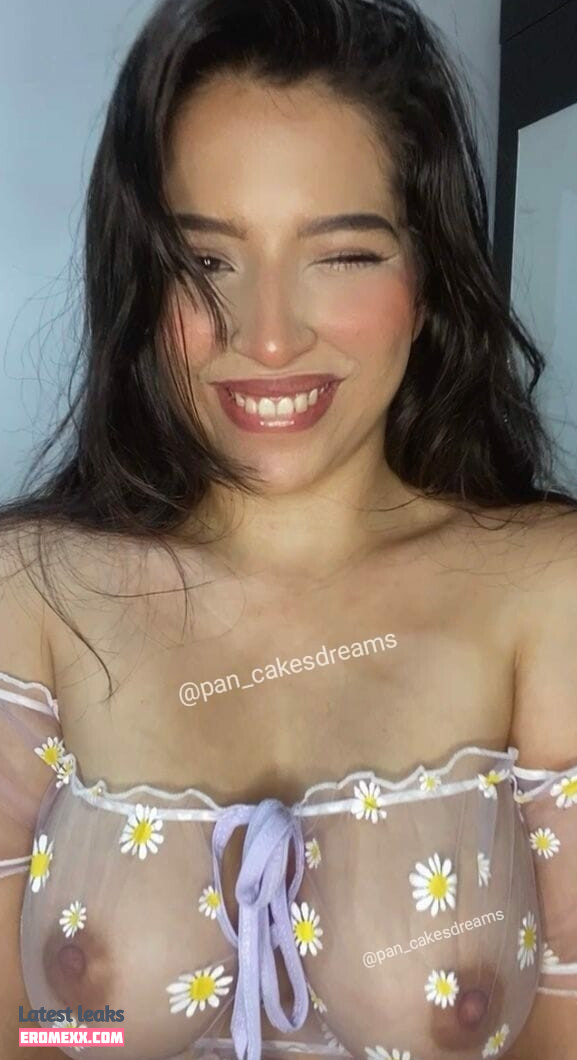 Latest Leaks Pan_CakesDreams Nude #3 - Erome