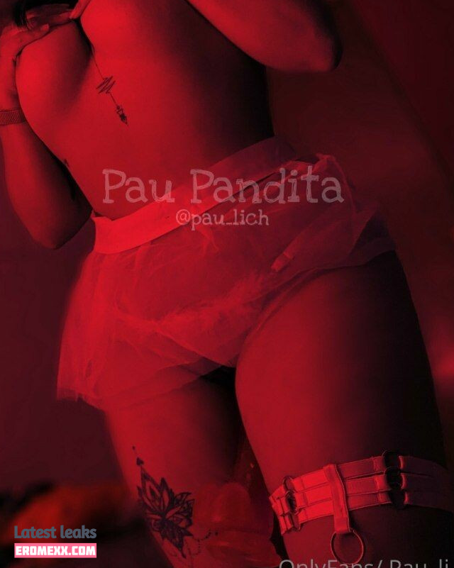 Latest Leaks pau_lich Nude #39 - Fapello