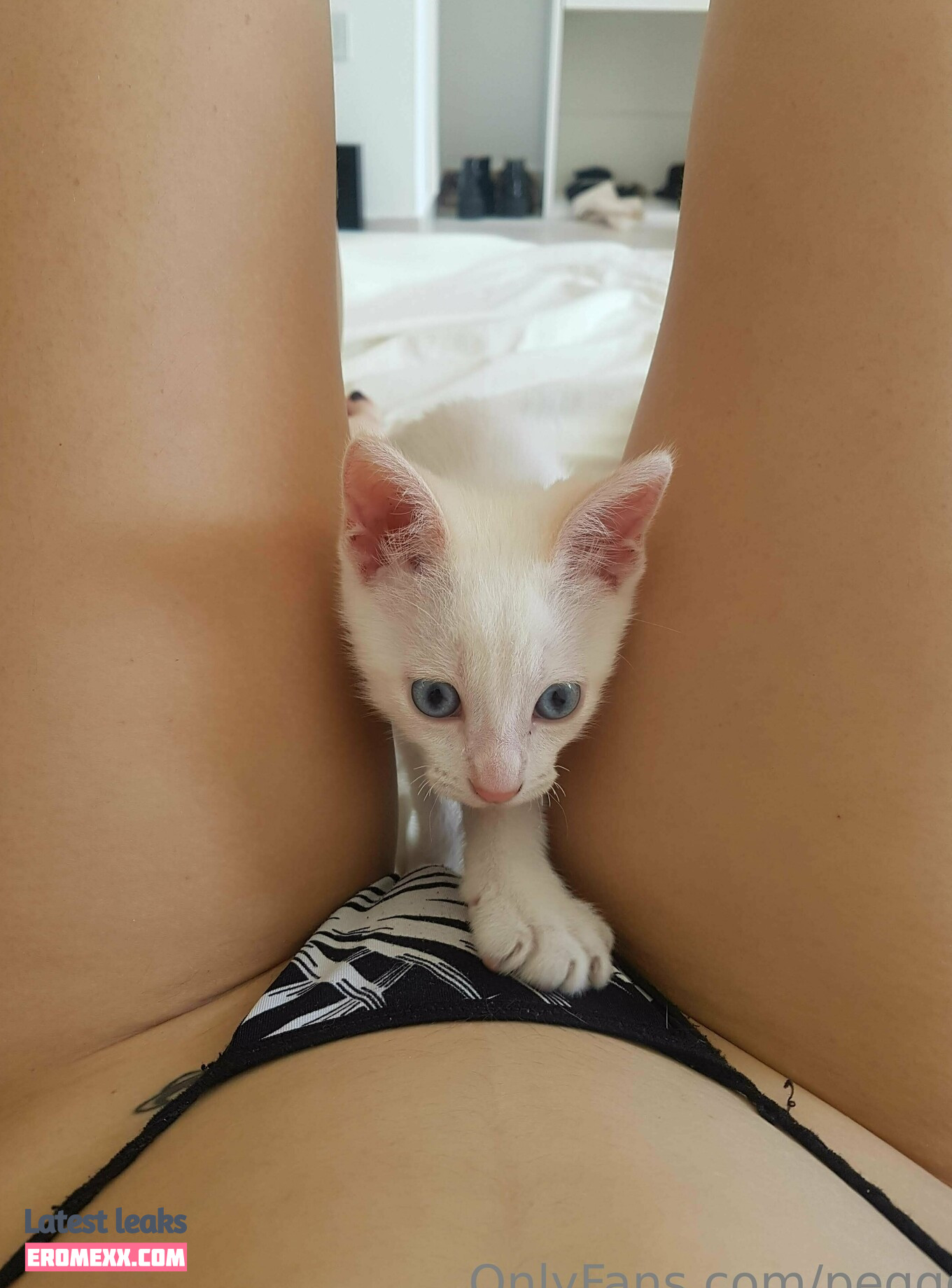 Latest Leaks peqqq Nude #9 - Fapello