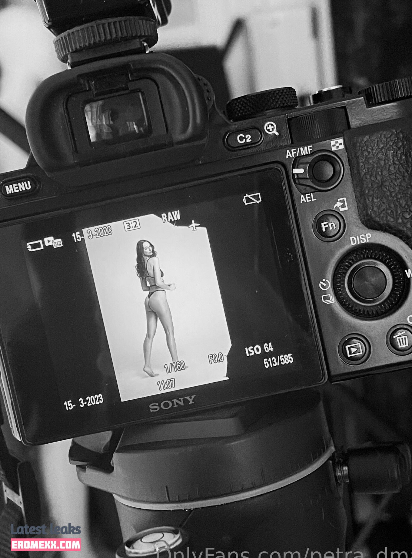 Latest Leaks petra_dma Nude #24 - Fapello